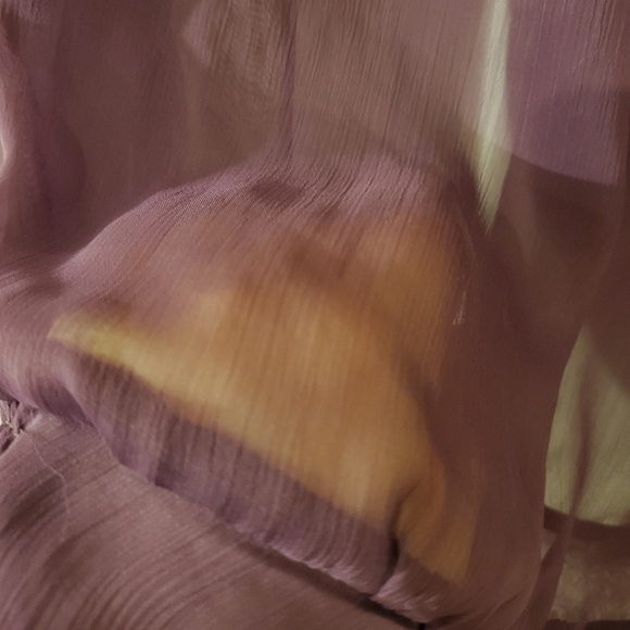 Bedo Sheer Long Sleeve Blouse in Plum - Picture 4 of 6